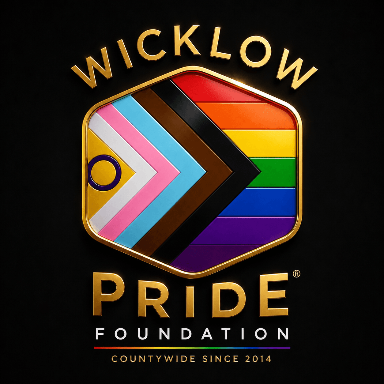 Gallery photo for Wicklow Pride®️ Foundation